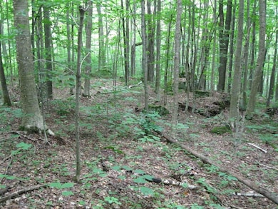 00 Crescent Beach Rd, Morgan, VT 05853 - photo 6