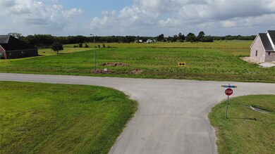 Lot 09 & 10 Crescent Cross Dr, Needville, TX 77461 - photo 6