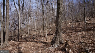 Off Cold Run Valley Rd, Berkeley Springs, WV 25411 - photo 5