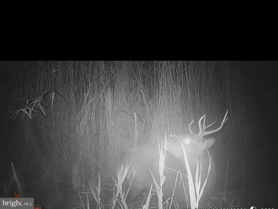 2465 Andrews Rd, Crapo, MD 21626 - photo 6