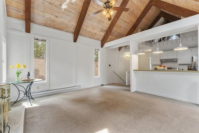 Living Room - High Vaulted Ceiling
