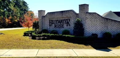 1044 Mackerel Manor, New Bern, NC 28562 - photo 2