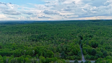 00 Mt Laurel Rd unit LotWP001, Greenfield Park, NY 12435 - photo 5