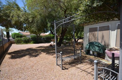 Back yard