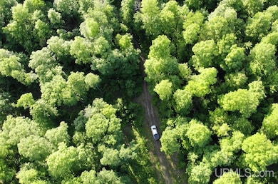 TBD359 Aaa Rd, Big Bay, MI 49808 - photo 5