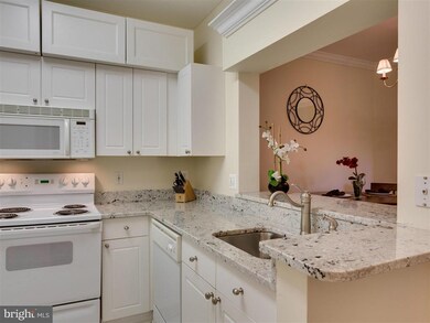 4551 Strutfield Ln unit 4217, Alexandria, VA 22311 - photo 3