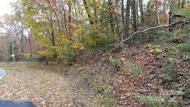 00 Lytle Mountain Rd, Marion, NC 28752 - photo 5