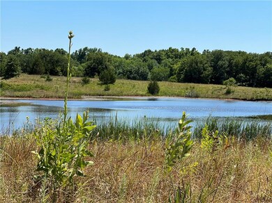 Pond #1