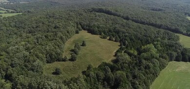 0 49 57 Acres County Road 5310 unit 19068933, Rolla, MO 65401 - photo 2