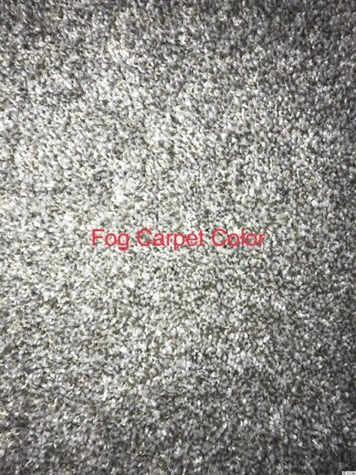 4388 Dew Ln unit Spruce Plan, Conway, SC 29527 - photo 2