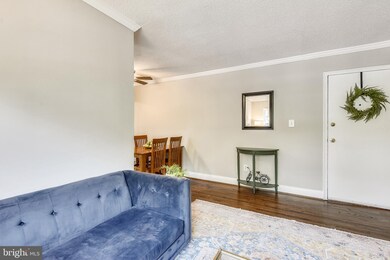 2241 Farrington Ave unit 203, Alexandria, VA 22303 - photo 4