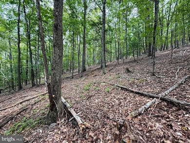 Lot 18B Wits End, Mathias, WV 26812 - photo 6