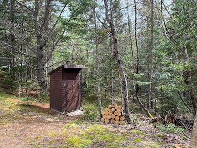 Lot 1 Off Bear Brook Rd, T25 Md Bpp, ME 04686 - photo 5