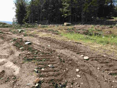 Lot 46 1-1 George Rd unit 46 1-1, Hebron, NH 03241 - photo 5