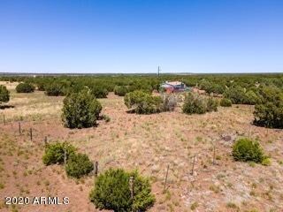 8508 Powell Ln, Show Low, AZ 85901 - photo 6