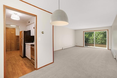 2210 Midland Grove Rd unit 306, Roseville, MN 55113 - photo 6