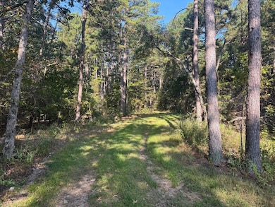 22019 State Highway K, Falcon, MO 65470 - photo 7