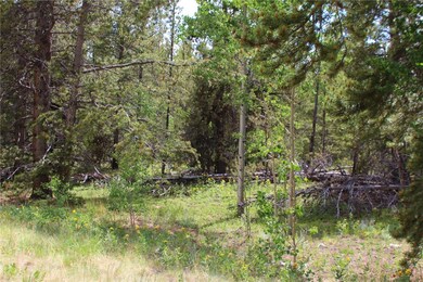 TBD Glacier Ridge Rd, Alma, CO 80420 - photo 7