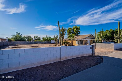 Saguaro-2