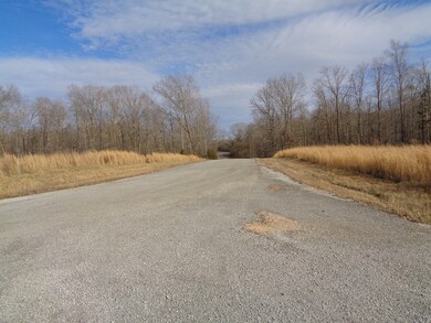 0 Eagle Loop unit 2120508, Loretto, TN 38469 - photo 4