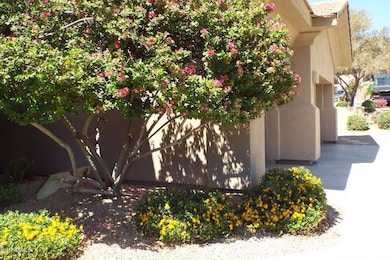 Beautiful Front Yard