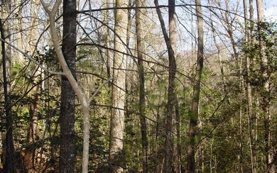 Additional View