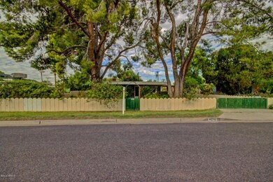 Concrete Picket Fence_Mature Landscaping