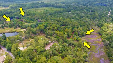 3.73 E S Ga Hwy 99 Hwy, Darien, GA 31305 - photo 3