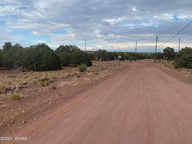 IMG-3552