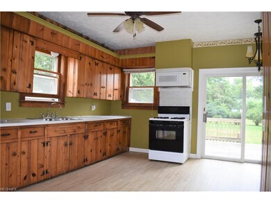 159 Vine St, Geneva, OH 44041 - photo 3