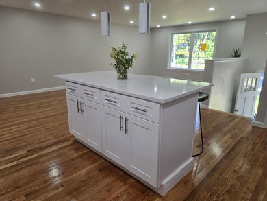 19 Druid Hill Ave E, Randolph, MA 02368 - photo 7