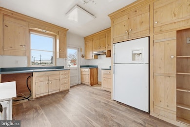 505 Orchard Ave, Palmyra, NJ 08065 - photo 7