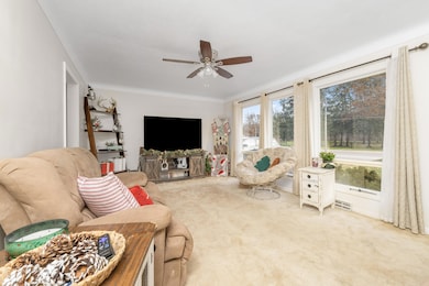 733 Hazen St, Paw Paw, MI 49079 - photo 3