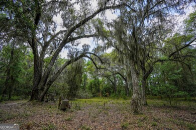 0 Simmons Bluff Rd unit 10371213, Woodbine, GA 31569 - photo 3