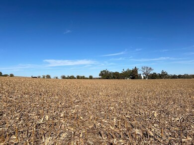 650 County Road R, Yutan, NE 68073 - photo 5