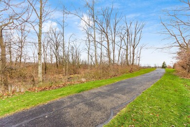 Walking trail