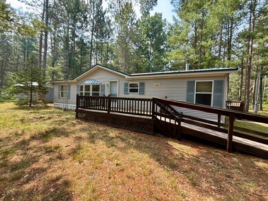 333 E 20th St, Baldwin, MI 49304 - photo 6