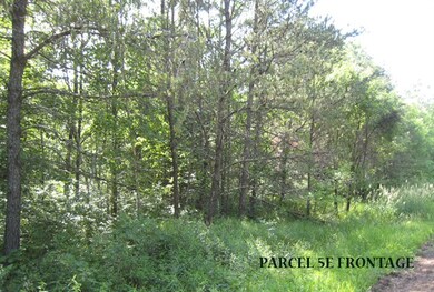 Lot 39 Cranberry Creek, New Lisbon, WI 53950 - photo 6
