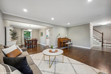 730 S River Rd, Naperville, IL 60540 - photo 6