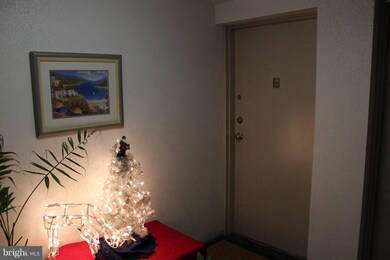 1807 Snow Meadow Ln unit T2, Baltimore, MD 21209 - photo 2