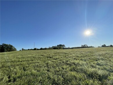 0 Weiler Rd unit S1631326, Lewis, NY 13325 - photo 2