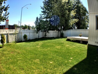 Nice Back Yard