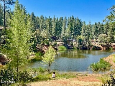 5141 N Bobs Bend Rd, Strawberry, AZ 85544 - photo 4