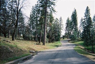 0 Hard Times Ranch unit 628016, North Fork, CA 93643 - photo 4