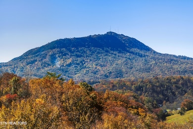 686 Stockton Dr, Sevierville, TN 37876 - photo 6