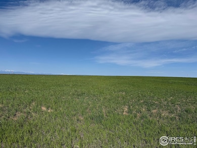 3 Tbd Lot B Ffd25-0006 Wcr 15, Carr, CO 80612 - photo 6
