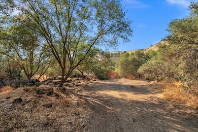 0 Sky Harbour Rd unit 636574, Friant, CA 93626 - photo 4