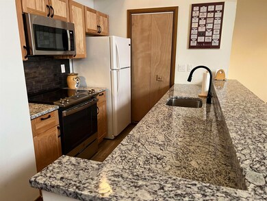 C-32 8j Sportscenter Village Way, Dover, VT 05356 - photo 3