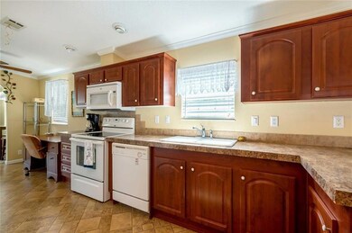 5541 Cheyenne St, Zephyrhills, FL 33542 - photo 4