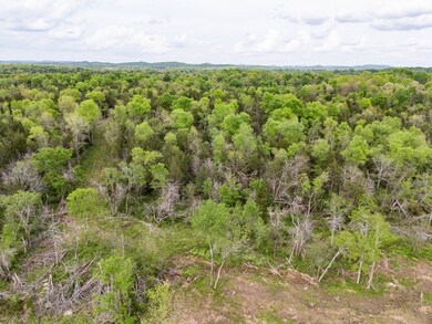 0 Kedron Road Tract 2, Columbia, TN 38401 - photo 4